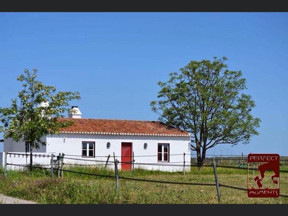 Villa Monte Da Boavista - Country Family House à Alter do Chão Extérieur photo