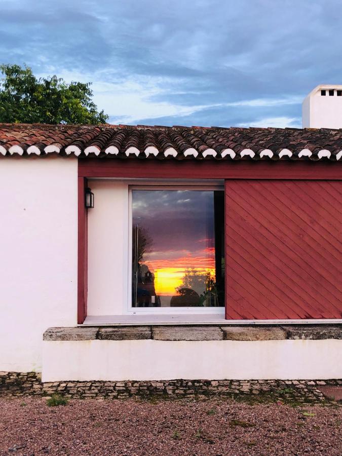 Villa Monte Da Boavista - Country Family House à Alter do Chão Extérieur photo