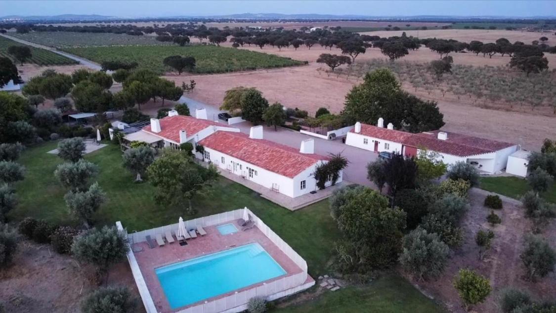 Villa Monte Da Boavista - Country Family House à Alter do Chão Extérieur photo