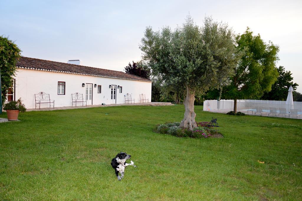 Villa Monte Da Boavista - Country Family House à Alter do Chão Extérieur photo