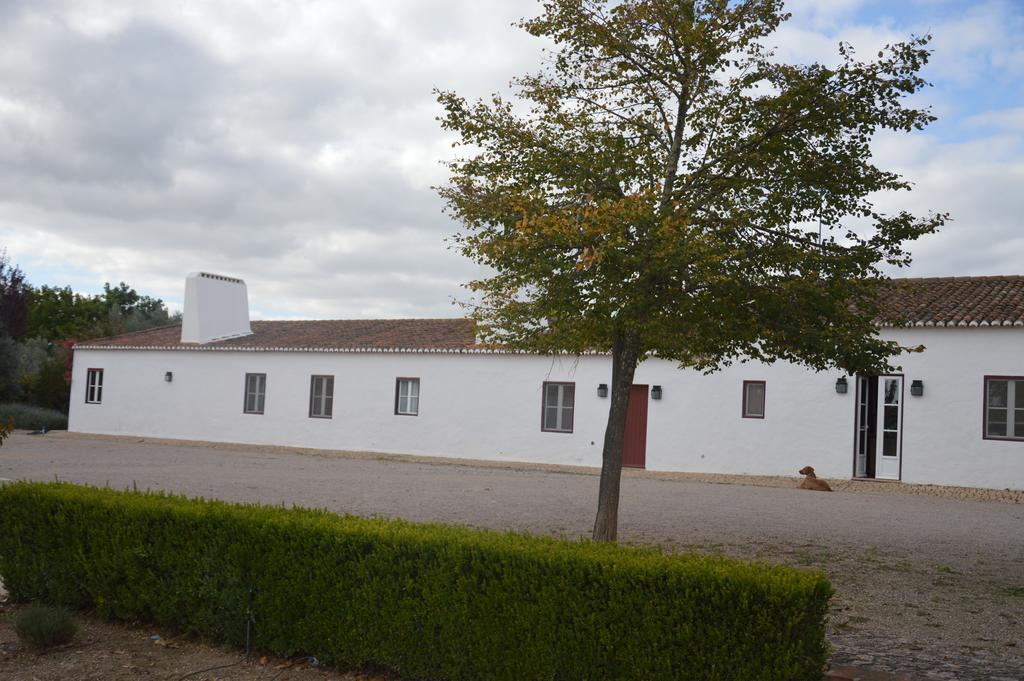 Villa Monte Da Boavista - Country Family House à Alter do Chão Extérieur photo